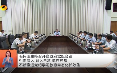 視頻丨毛偉明主持召開省政府黨組會議 引...